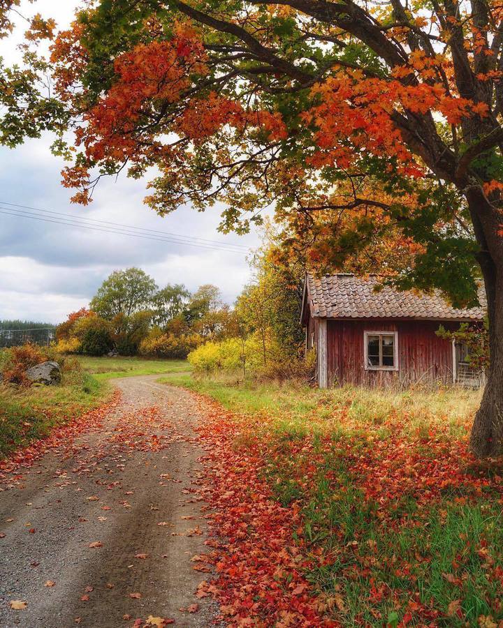 Есен и самотна къща