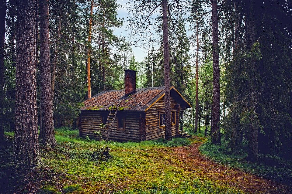 Дървена къща сред дърветата