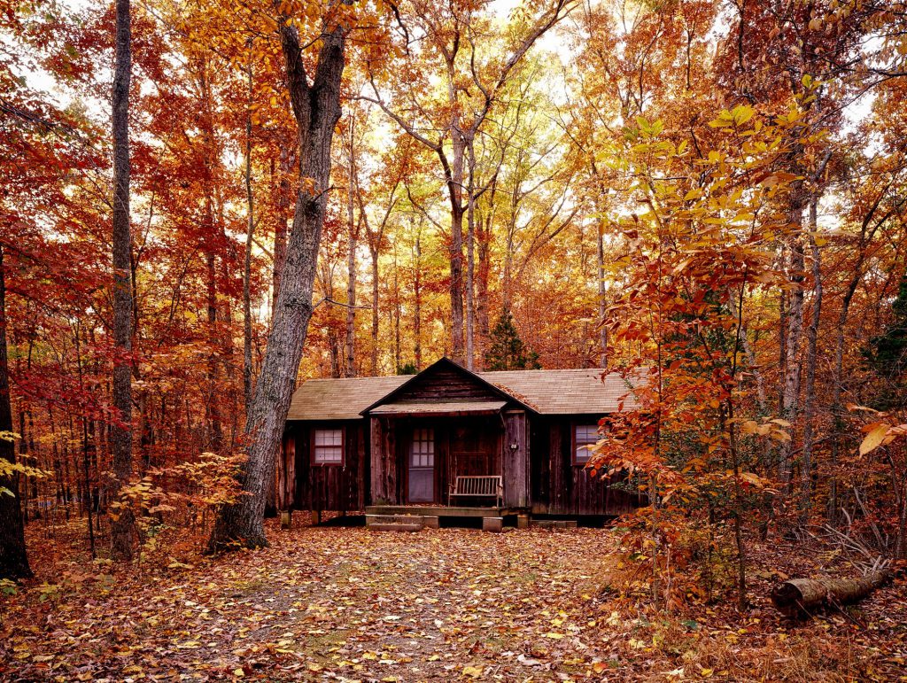 Дървена къща в гората