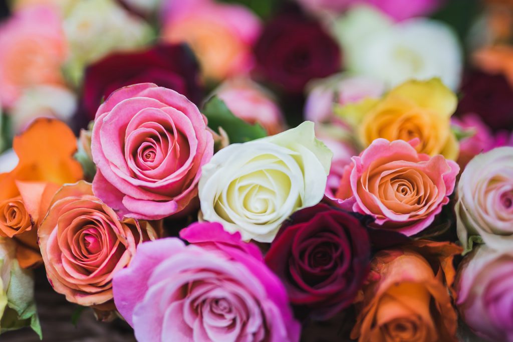 Букет разноцветни рози