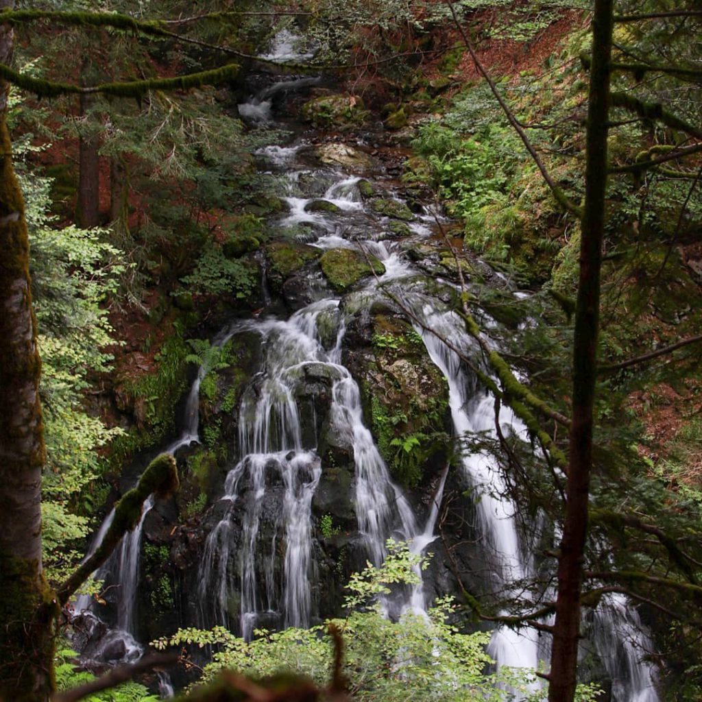 Водопади насред гората