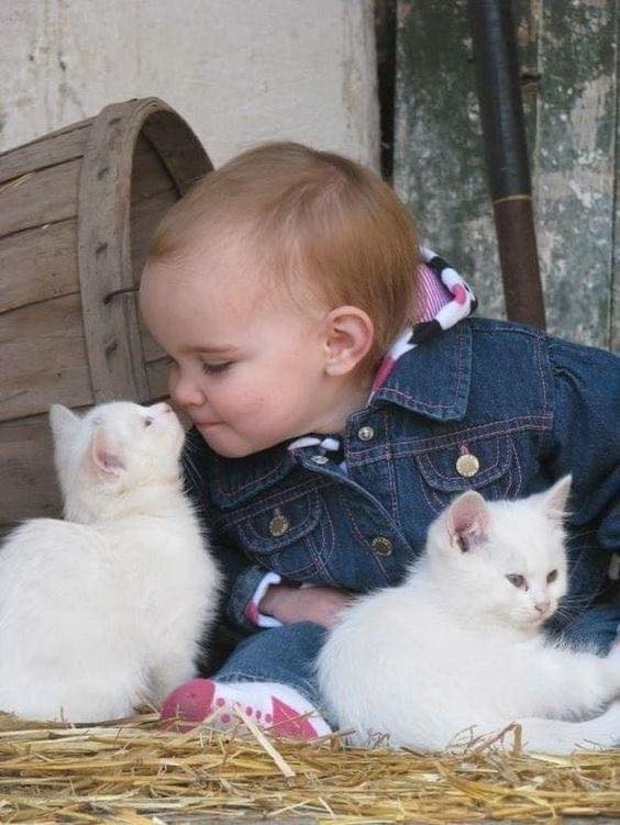 Дете с малко бели котета