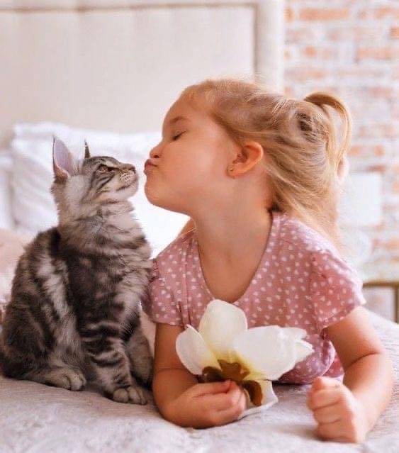 Дете целува котенце